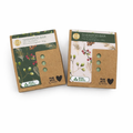 Accentra Shampoo Bar Pine & Eucalyptus 60 g Con Balsamo Incluso