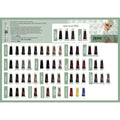Retrò Professional Project Color Zero Ammoniaca Crema Colorante - 100 ml .